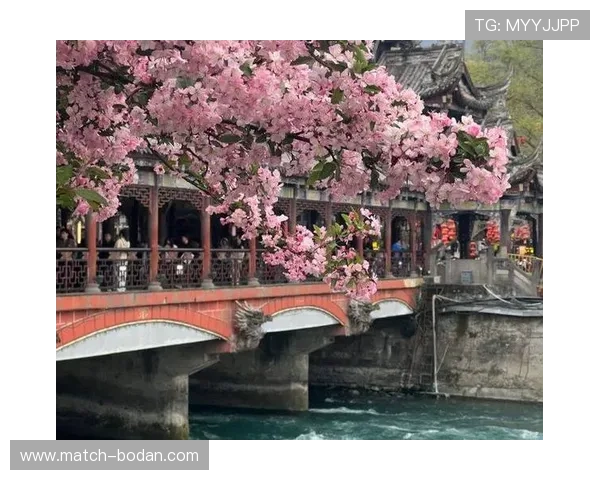篮球滚球盘避坑指南 彩票数字高频玩法防骗秘诀